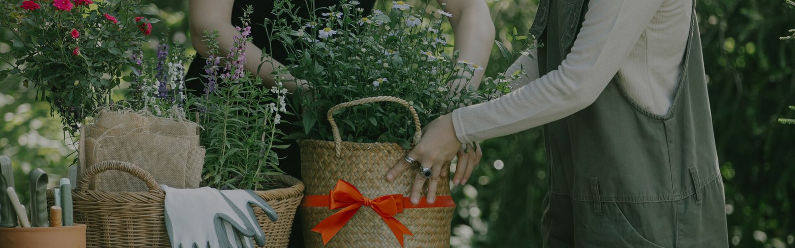 plants in pots with the arms of two people visible
